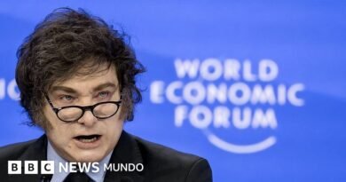 El polémico decreto de Milei para expulsar extranjeros que expresen 