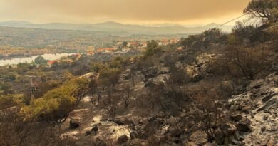 Vista de la zona afectada por el incendio forestal de Burgohondo en el Valle de Iruelas (Ávila).
