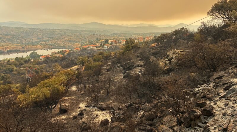 Vista de la zona afectada por el incendio forestal de Burgohondo en el Valle de Iruelas (Ávila).