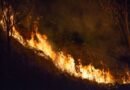 Incendios cerca de Madrid siguen sin control; en Francia cientos escapan en barco  - RR Noticias