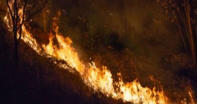 Incendios cerca de Madrid siguen sin control; en Francia cientos escapan en barco  - RR Noticias