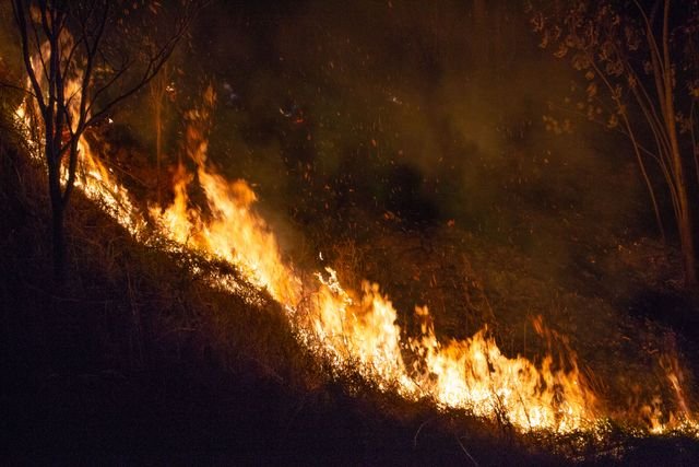 Incendios cerca de Madrid siguen sin control; en Francia cientos escapan en barco  - RR Noticias