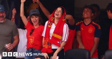 La cantante Rosalía pide perdón tras compartir en sus redes un video considerado ofensivo en Argentina después de la final del Mundial - BBC News Mundo