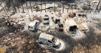 La periferia de Burdeos, en vilo por los incendios: “Sabemos que en cualquier momento tendremos que irnos” 