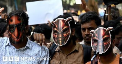 La revolución de las cucarachas, el movimiento de protesta contra el gobierno de India que trasciende las castas - BBC News Mundo