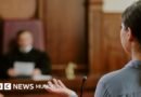 Las mujeres víctimas de violencia doméstica que mataron a sus parejas: 