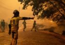 Los incendios de Madrid, Ávila y Toledo afectan ya a 77.000 hectáreas