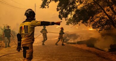 Los incendios de Madrid, Ávila y Toledo afectan ya a 77.000 hectáreas