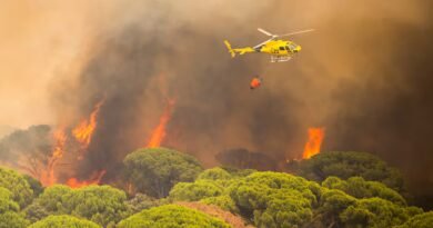 Los incendios de Madrid, Ávila y Toledo obligan a evacuar o confinar a más de 90.000 personas: “Es una situación endemoniada”