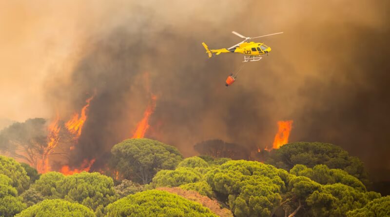 Los incendios de Madrid, Ávila y Toledo obligan a evacuar o confinar a más de 90.000 personas: “Es una situación endemoniada”