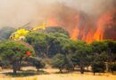 Medios aéreos trabajan en la extinción del incendio declarado en la Sierra Oeste de Madrid.