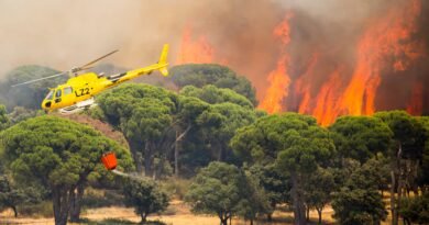 Medios aéreos trabajan en la extinción del incendio declarado en la Sierra Oeste de Madrid.