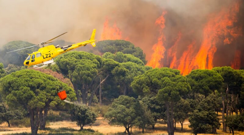 Medios aéreos trabajan en la extinción del incendio declarado en la Sierra Oeste de Madrid.