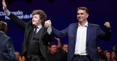Milei arremete contra Lula en Brasil y llama a “parar la basura socialista”