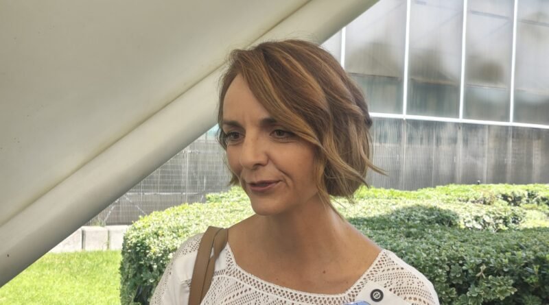 Plantean homenaje para músicos queretanos fallecidos en accidente del Mustang: Ana Paola - RR Noticias