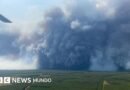 Qué es y cuál podría ser el peligroso efecto de la pirocumulonimbo, la enorme nube generada por los incendios en Francia - BBC News Mundo