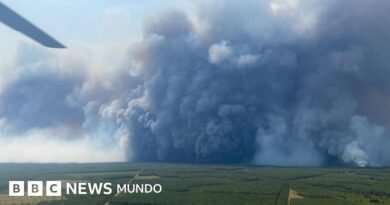 Qué es y cuál podría ser el peligroso efecto de la pirocumulonimbo, la enorme nube generada por los incendios en Francia - BBC News Mundo
