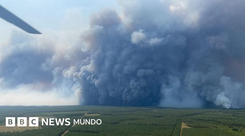 Qué es y cuál podría ser el peligroso efecto de la pirocumulonimbo, la enorme nube generada por los incendios en Francia - BBC News Mundo