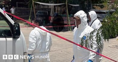 Quién era Alejandro Leyva, el periodista asesinado en México cuya muerte vuelve a encender las alarmas sobre los riesgos de informar en el país – BBC News Mundo Quién era Alejandro Leyva, el periodista asesinado en México cuya muerte vuelve a encender las alarmas sobre los riesgos de informar en el país - BBC News Mundo