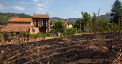 Realojados 9 de los 34 municipios evacuados por el fuego de La Mierla mientras se investiga la cosechadora que lo causó