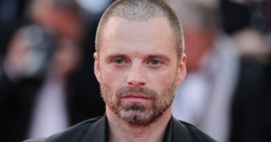 Sebastian Stan o el misterio del actor que pasa desapercibido a pesar de estar en todas partes