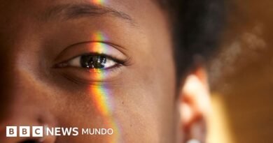 Tetracromatismo: por qué algunas personas ven más colores que el resto (y cómo saber si eres una de ellas) - BBC News Mundo