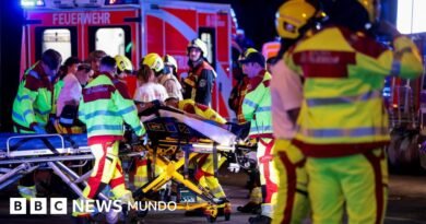 Un muerto y 15 heridos en la Marcha del Orgullo en Berlín después de que un vehículo arrollara a la multitud - BBC News Mundo