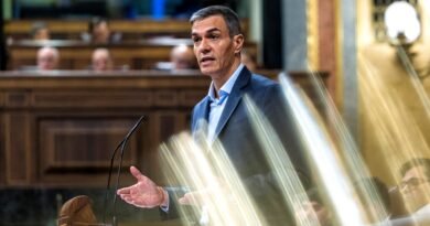 El presidente del Gobierno, Pedro Sánchez, durante su comparecencia en la tribuna del Congreso, el pasado junio.