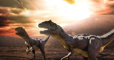 ¿Se achicharraron los dinosaurios en pocas horas? El meteorito creó una capa de polvo que convirtió el planeta en una parrilla