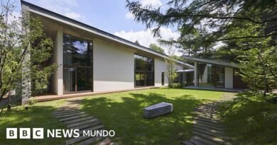 10 de las casas diseñadas con mayor ingenio y simplicidad en Japón - BBC News Mundo