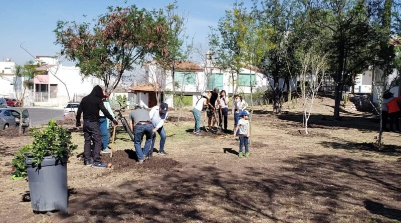 Activistas ambientales denuncian tala de árboles en el