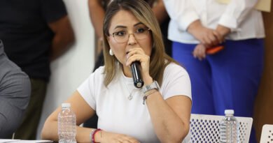 Claudia Díaz Gayou deja el PT y se suma a Morena - RR Noticias