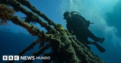 Cómo los buques varados en el estrecho de Ormuz pueden desencadenar una 