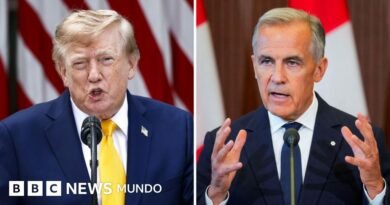 Cómo puede responder Canadá en una guerra económica para perjudicar a EE.UU. y Donald Trump - BBC News Mundo