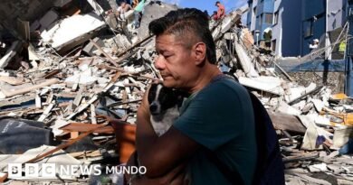 Cómo se mide la duración de un terremoto y cuánto tiempo realmente tembló en Colombia - BBC News Mundo