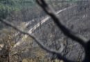 Detenido un hombre con antecedentes por provocar un incendio en León