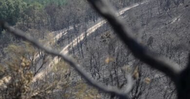 Detenido un hombre con antecedentes por provocar un incendio en León