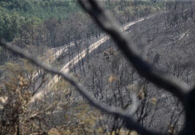 Detenido un hombre con antecedentes por provocar un incendio en León