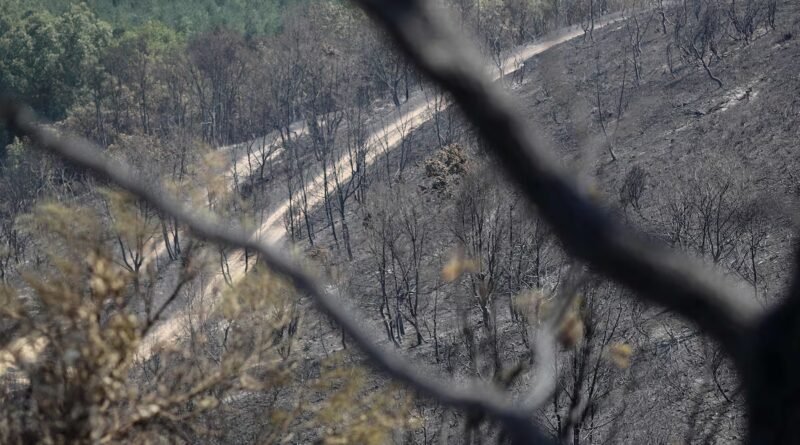 Detenido un hombre con antecedentes por provocar un incendio en León