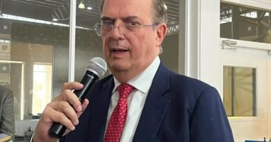 Ebrard pide a Estados Unidos reducir tarifas a automóviles fabricados en México - RR Noticias