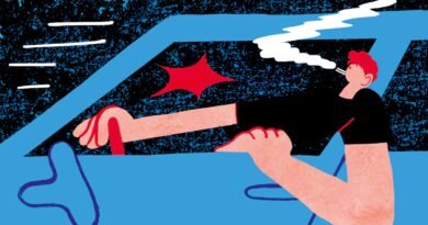 El año que robé un coche