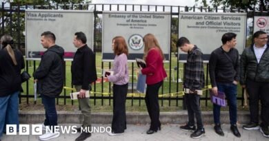 El gobierno de Trump cancela las entrevistas para visas de inmigrantes en los consulados y embajadas de EE.UU. en todo el mundo - BBC News Mundo