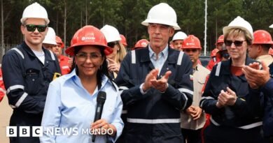 En qué consiste el 