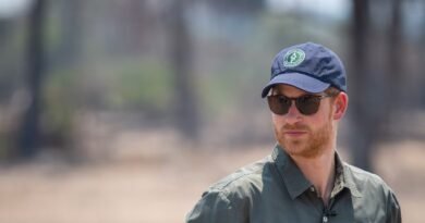 Enrique de Inglaterra deja su puesto en el consejo de una controvertida ONG africana