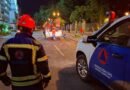 FGE abrió una carpeta de investigación por la caída del árbol en la Alameda Hidalgo - RR Noticias