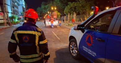 FGE abrió una carpeta de investigación por la caída del árbol en la Alameda Hidalgo - RR Noticias