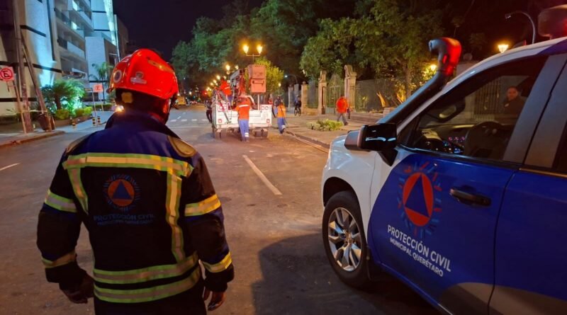 FGE abrió una carpeta de investigación por la caída del árbol en la Alameda Hidalgo - RR Noticias