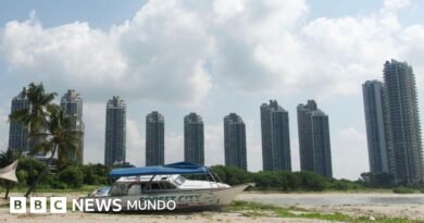 Forest City, la ciudad fantasma con rascacielos vacíos que se convirtió en un refugio para estafadores - BBC News Mundo