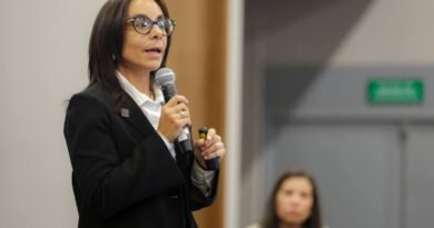 Gobierno Federal debe reponer árboles talados en el Tepe - RR Noticias