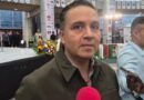Gobierno federal no informó sobre retiro de árbol en la zona del Tepetate - RR Noticias